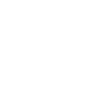 Share Icon